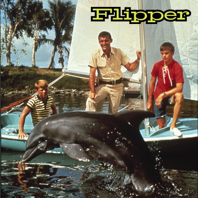 Flipper: The Day Of The Shark (S1E18)
