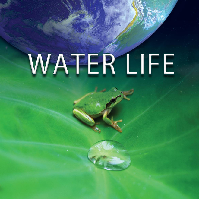 Water Life: Dark Water (S1E6)