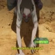 Log Horizon: Kanami, Go East! (S2E14)