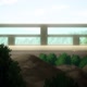 From the New World: The Vanishing Children (S1E2)