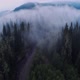 Morning Glory: Canada: In the Heart of Misty Forests (S1E2)