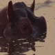 Morning Glory: Zambia: In the Heart of the Savannah (S1E5)